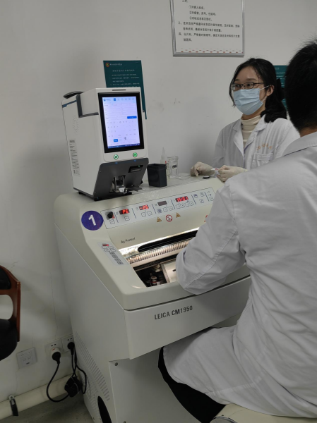 Jinquan_JQ-GM6100_series_printer-2.png Jinquan_JQ-GM6100_series_printer-2.png