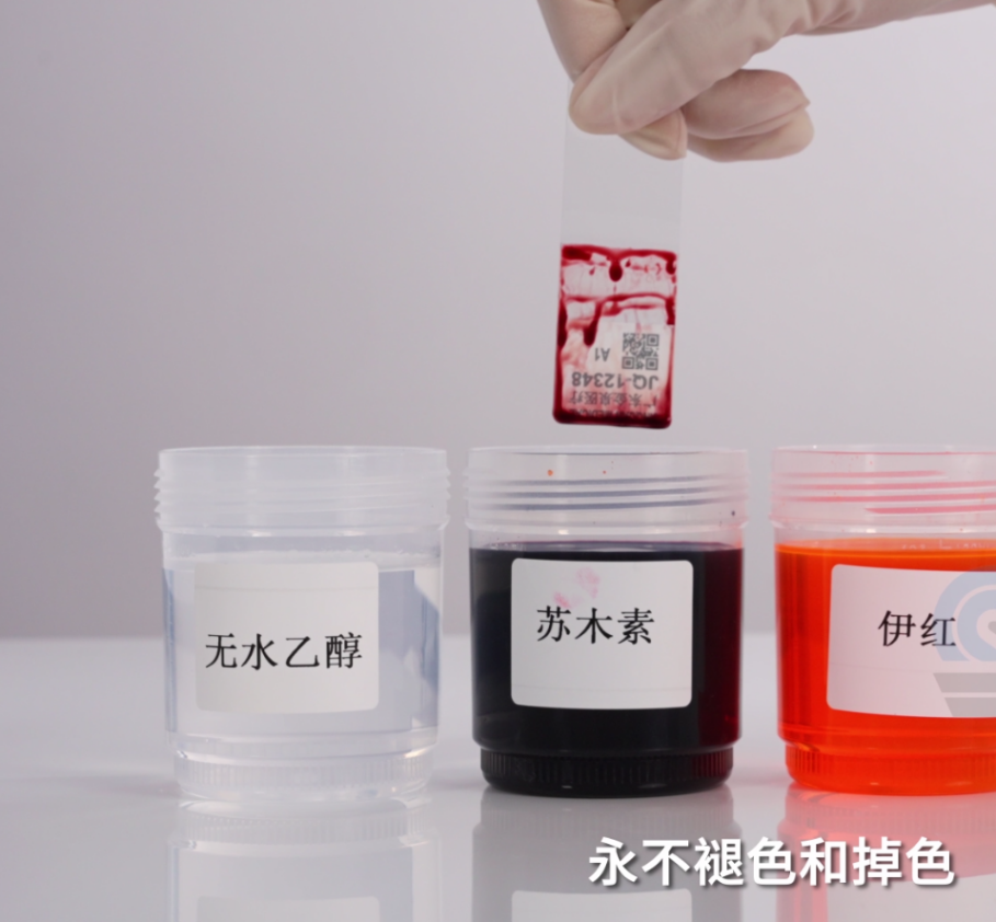 Laser_marking,_crisp_and_indelible.png Laser_marking,_crisp_and_indelible.png